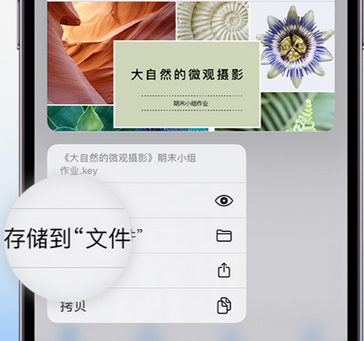 雄县apple维修中心分享iPhone文件应用中存储和找到下载文件