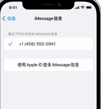 雄县apple维修iPhone上无法正常发送iMessage信息