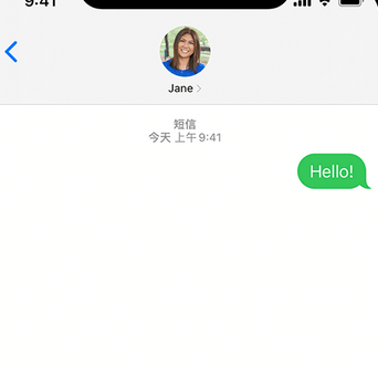 雄县apple维修iPhone上无法正常发送iMessage信息