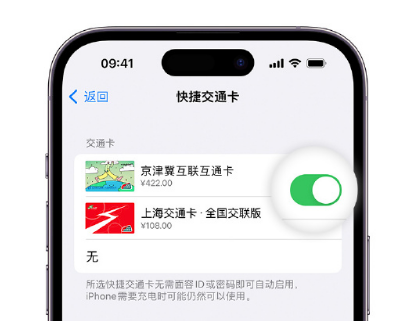 雄县apple维修点分享iPhone上更换Apple Pay快捷交通卡手绘卡面 