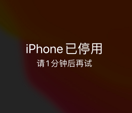 雄县苹果手机维修分享:iPhone 显示“不可用”或“已停用”怎么办？还能保留数据吗？ 