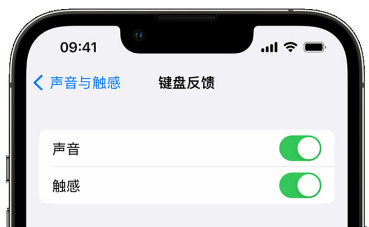 雄县苹果手机维修分享iPhone 14触感键盘使用方法 