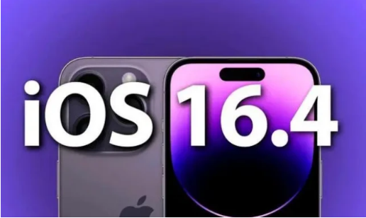 雄县苹果14维修分享：iPhone14可以升级iOS16.4beta2吗？ 