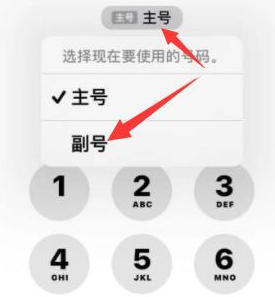 雄县苹果14维修店分享iPhone 14 Pro Max使用副卡打电话的方法 