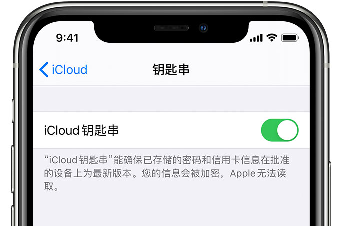 雄县苹果手机维修分享在 iPhone 上开启 iCloud 钥匙串之后会储存哪些信息 