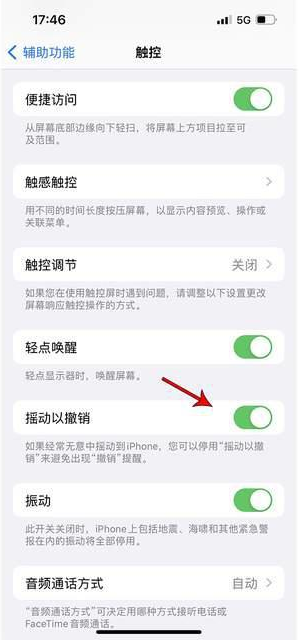 雄县苹果手机维修分享iPhone手机如何设置摇一摇删除文字 