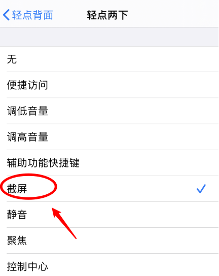 雄县苹果手机维修分享iPhone12如何启用双击截屏 