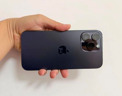 雄县苹果维修点分享iPhone 14 Pro Max发烫多重诱因剖析 